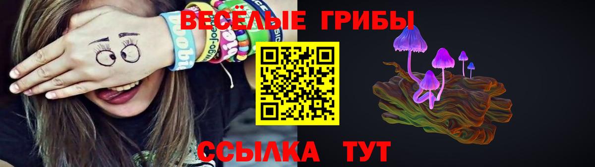 Псилоцибиновые грибы Psilocybe  Вход с VPN  Санкт-Петербург 
